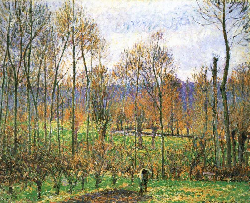 Camille Pissarro Cloudy Poplar oil painting picture